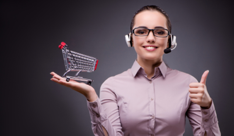 Virtual Back Office Support for an E-commerce Company Case Study