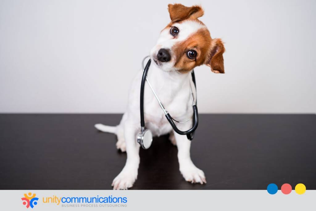 BPO for Veterinary Services - featured image