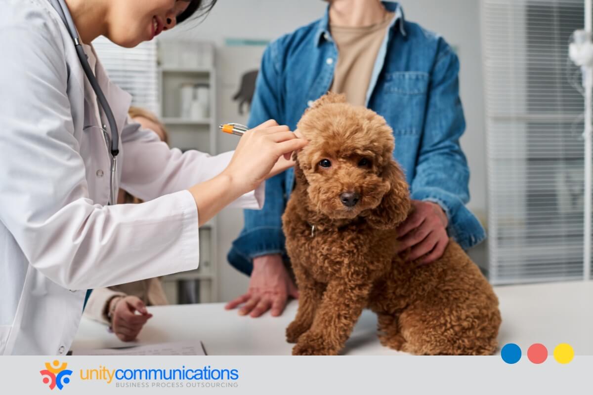 veterinary after hours answering service - featured image